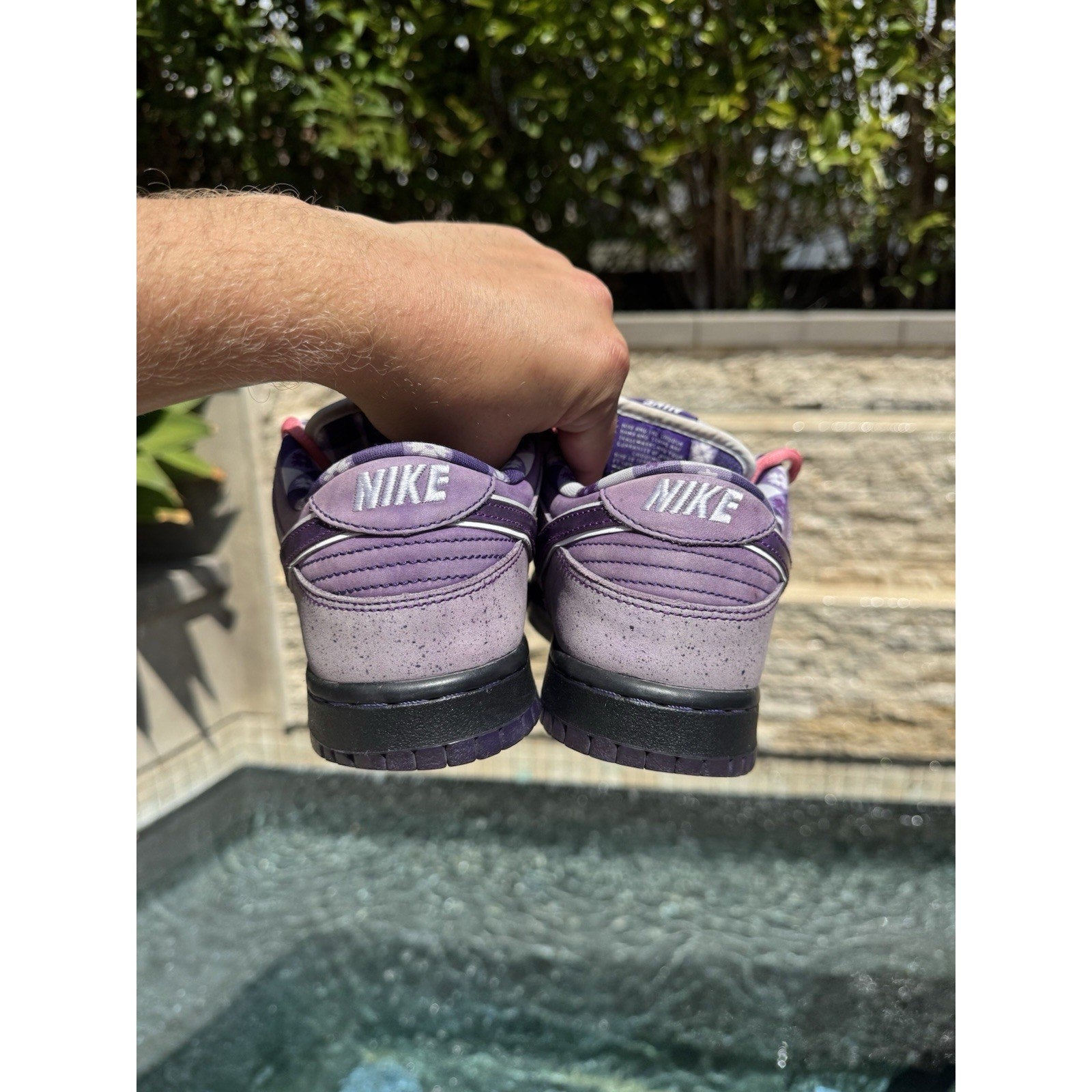 Nike SB Dunk Low x Concepts Purple Lobster - Size 8