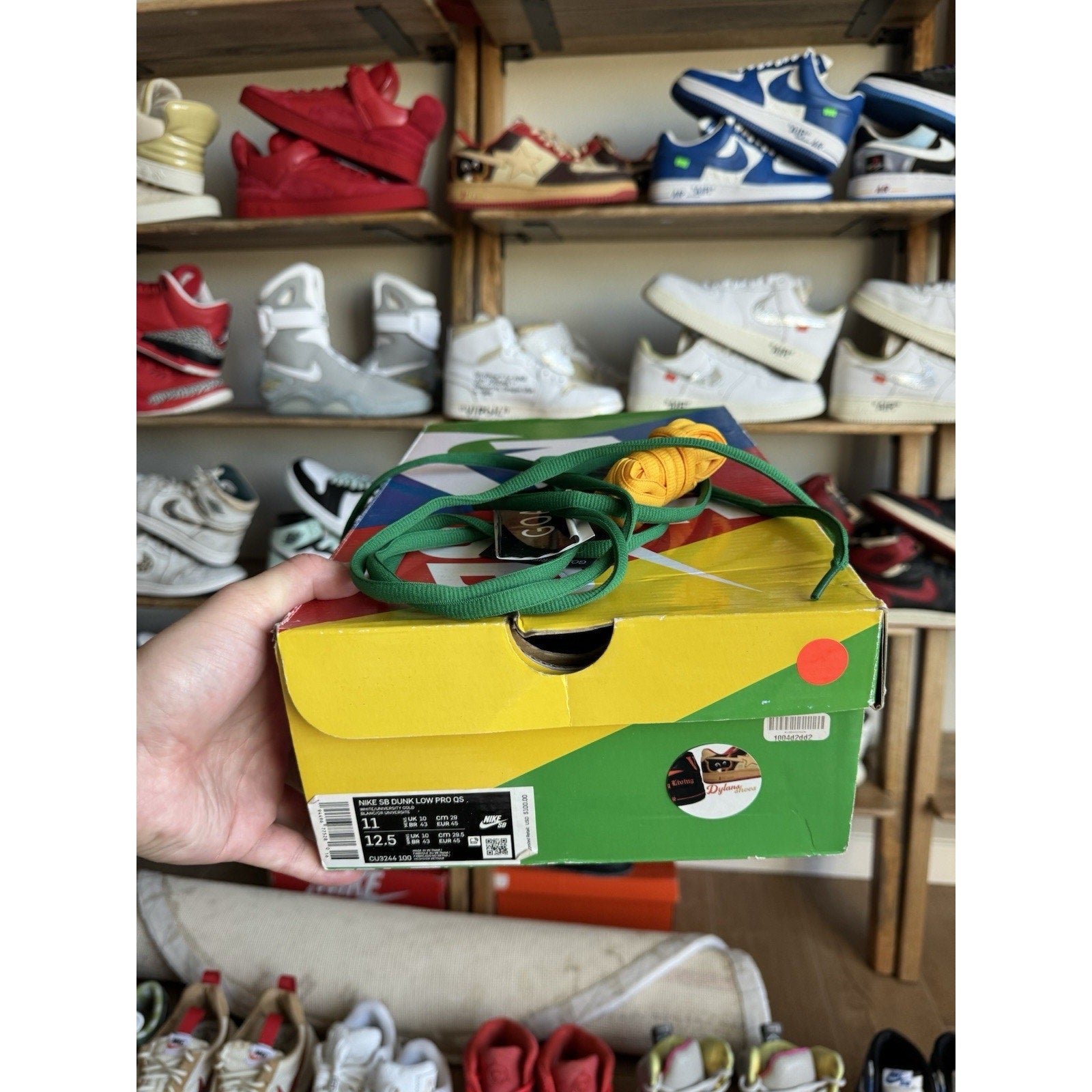 Nike Dunk Low SB x Ben & Jerry's Chunky Dunky - Size 11
