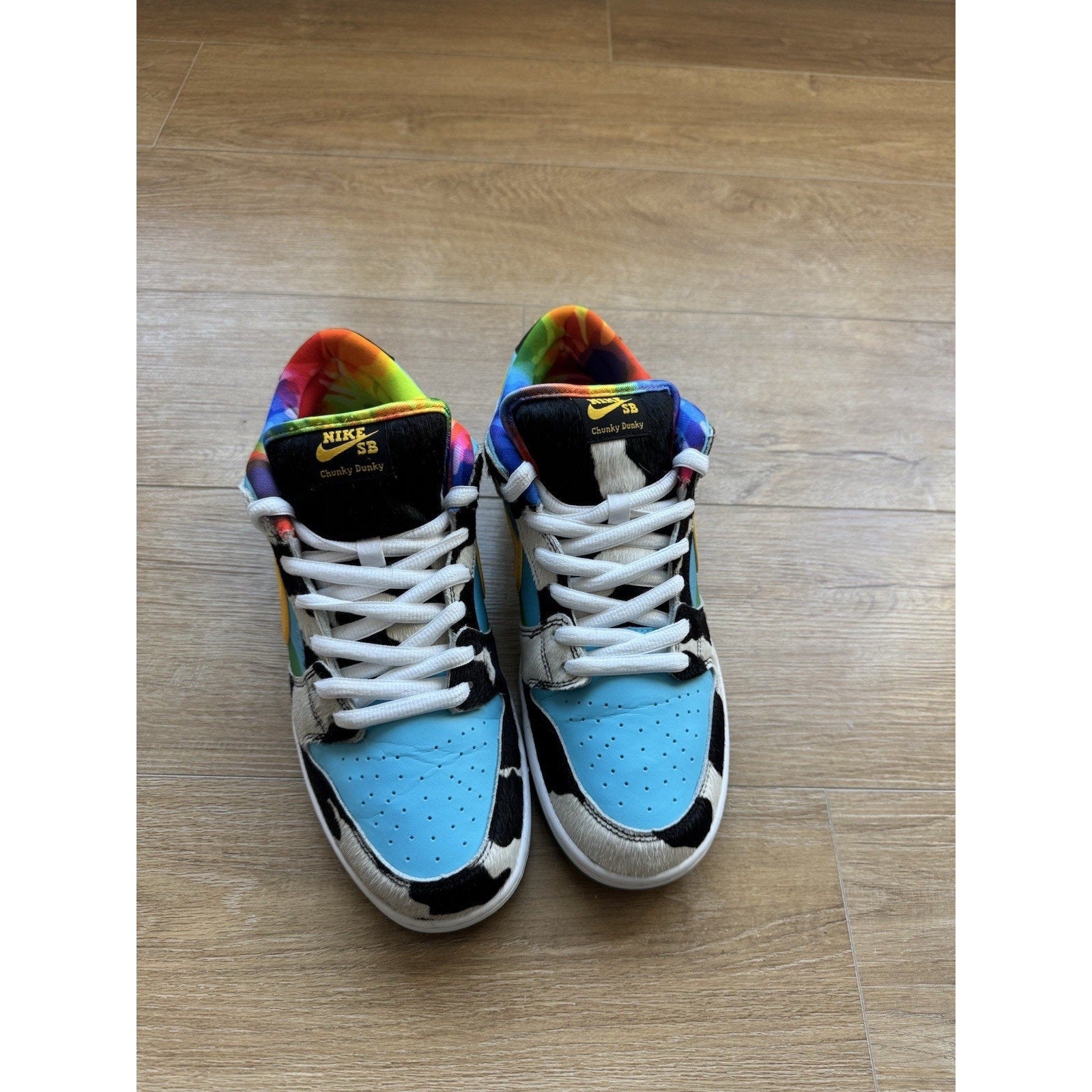 Nike Dunk Low SB x Ben & Jerry's Chunky Dunky - Size 11