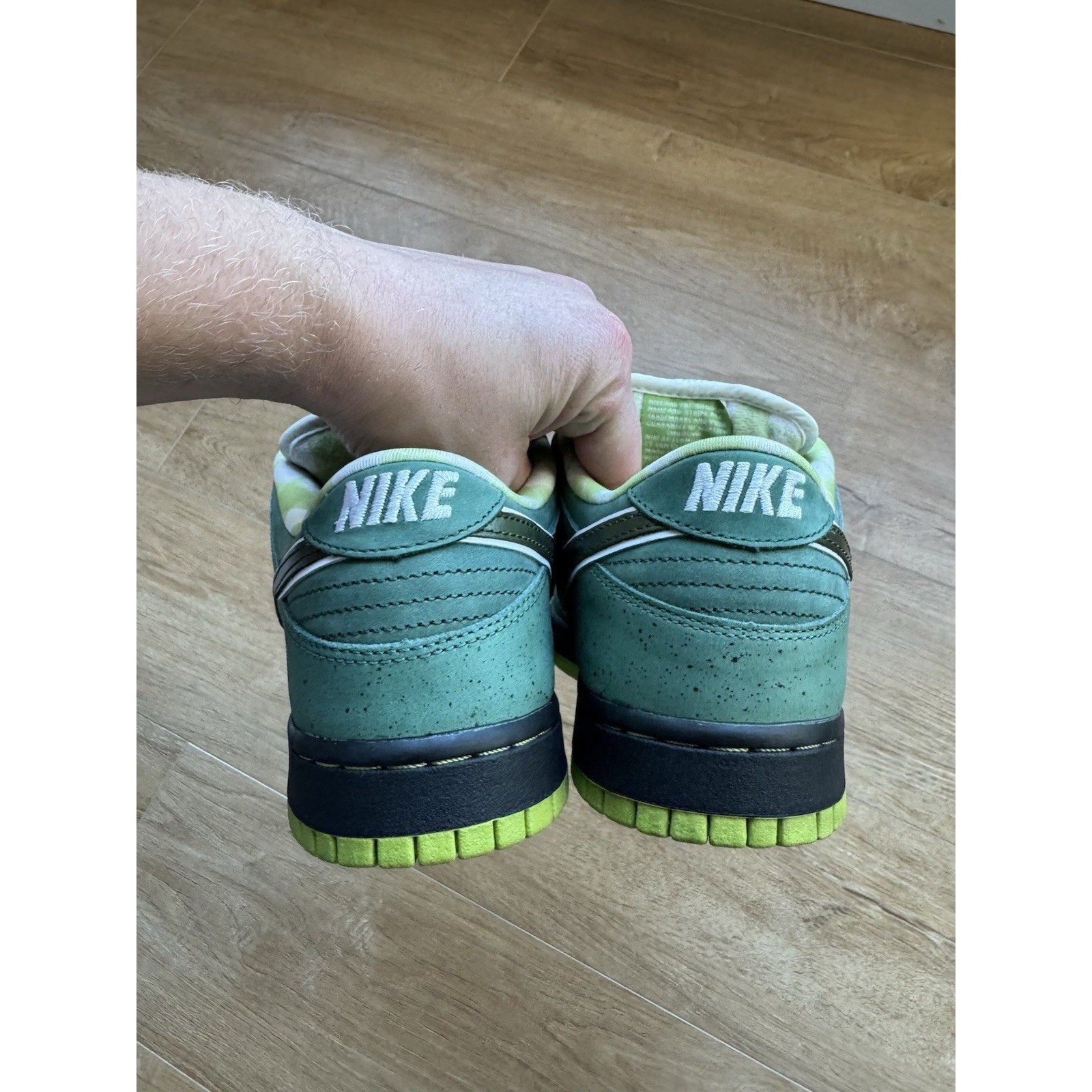 Concepts x Nike Dunk SB Special Box Low Green Lobster - Size 9