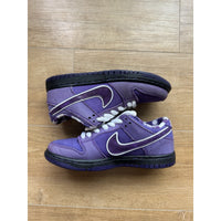 Nike Concepts x Dunk SB Special Box Low Purple Lobster - Size 4