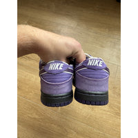 Nike Concepts x Dunk SB Special Box Low Purple Lobster - Size 4