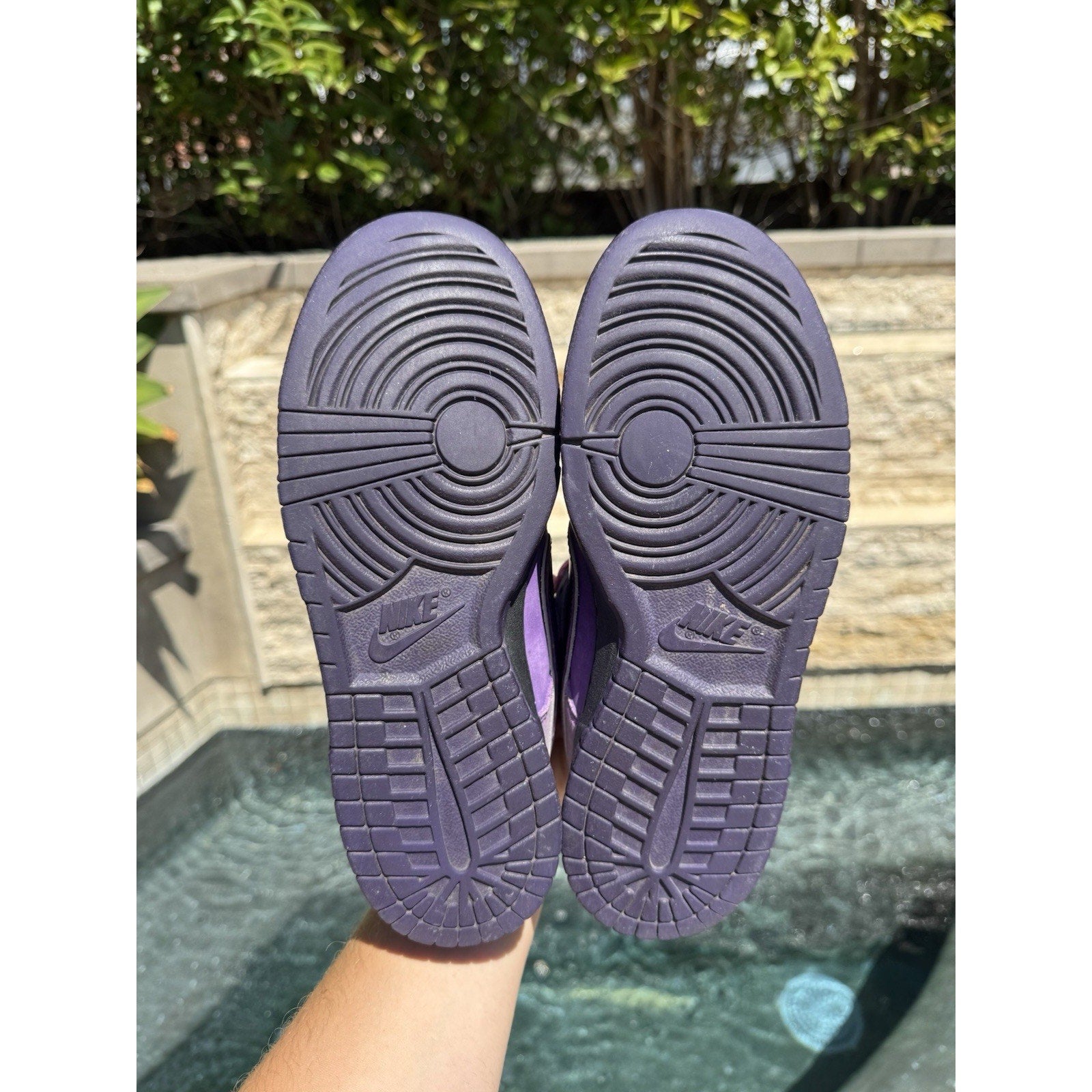 Nike SB Dunk Low x Concepts Purple Lobster - Size 8
