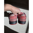 Nike Dunk Premium SB Low Lobster - Size 10
