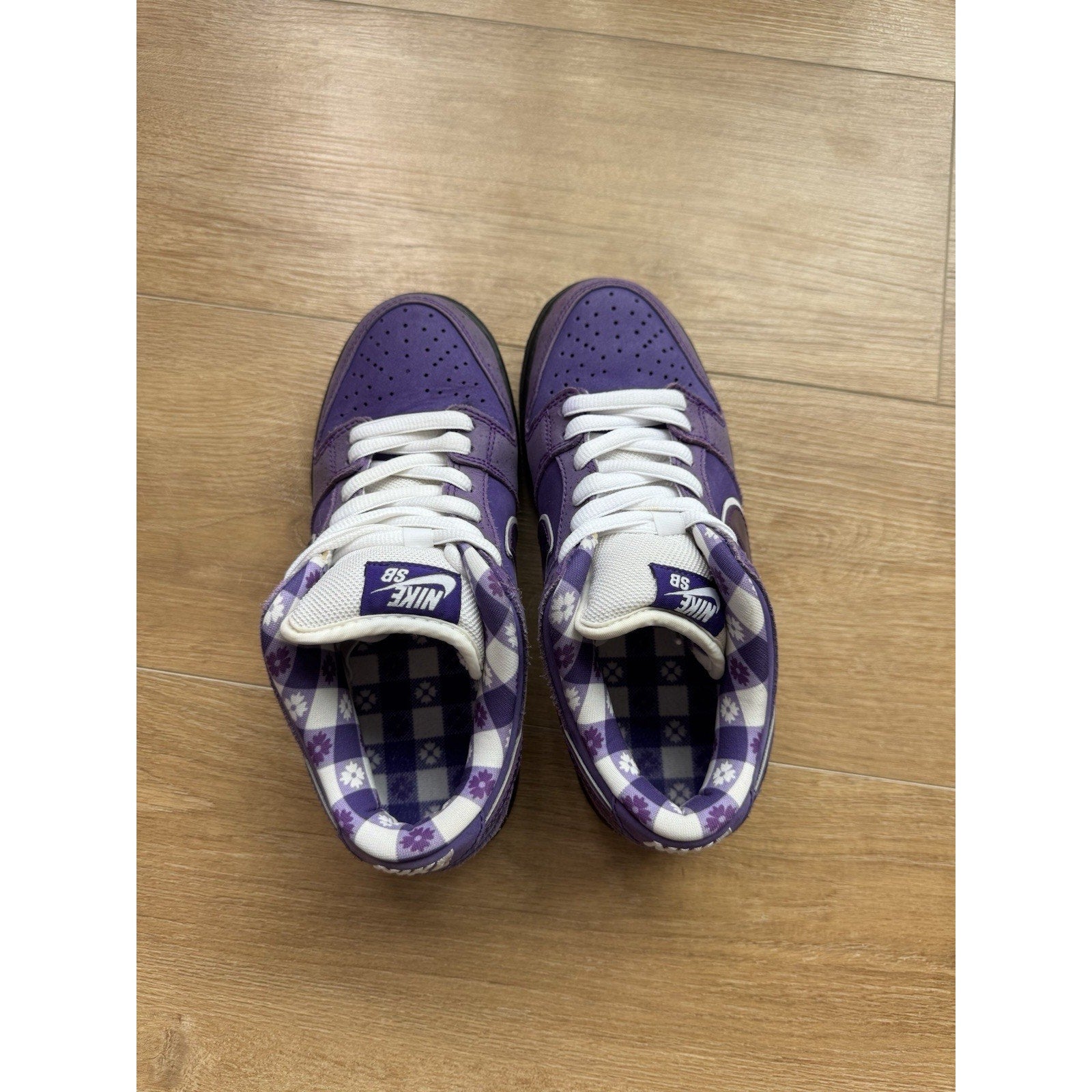 Nike Concepts x Dunk SB Special Box Low Purple Lobster - Size 4