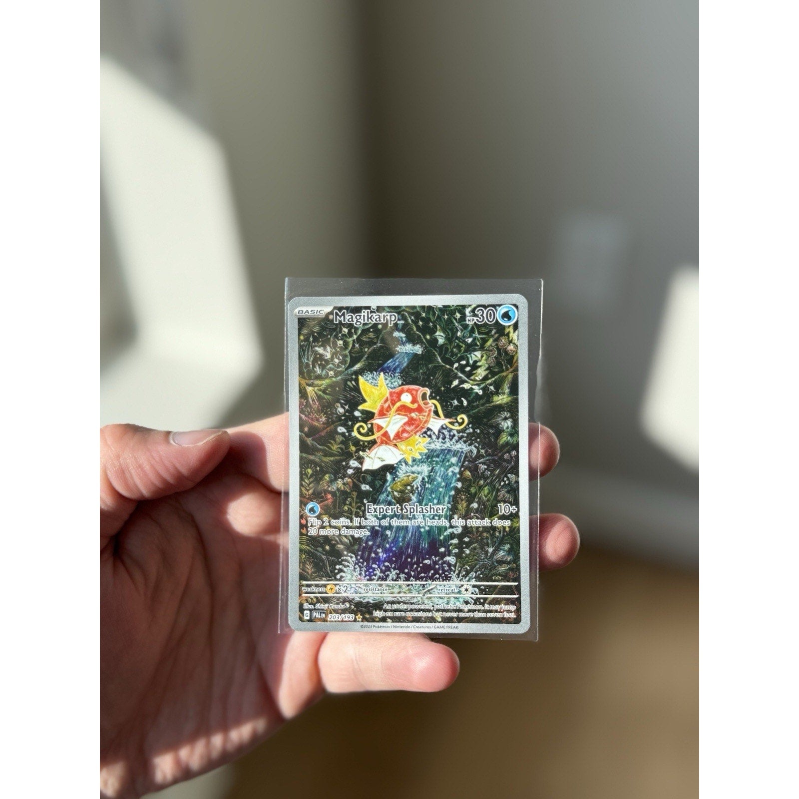 Magikarp 203/193 Sv02: Paldea Evolved Holo