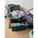 Concepts x Nike Dunk SB Special Box Low Green Lobster - Size 9