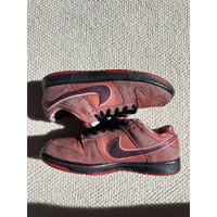 Nike Dunk Premium SB Low Lobster - Size 10
