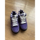 Nike Concepts x Dunk SB Special Box Low Purple Lobster - Size 4